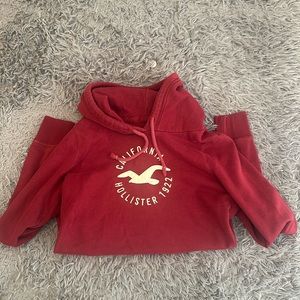 Hollister sweater